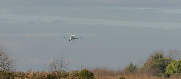 Самолет АН-2. - Sputnik Абхазия