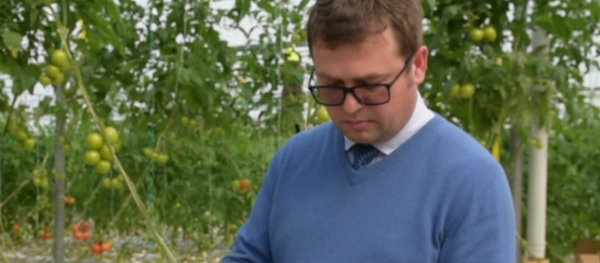Геннадий Берулава рассказал как выбрать экологически чистые помидоры - Sputnik Абхазия