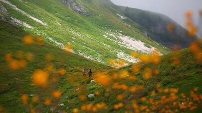 Горный массив Арбаика 