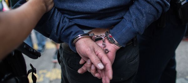 Задержание преступника. Архивное фото. - Sputnik Абхазия