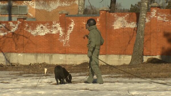 Спутник_Российские саперы с собаками разминировали поле перед отправкой в Пальмиру - Sputnik Абхазия