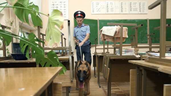 Проверка безопасности в учебных заведениях. Архивное фото. - Sputnik Абхазия