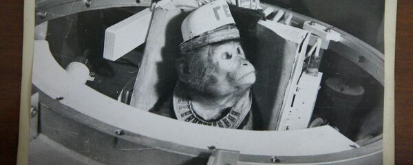 Из Абхазии в космос Из Абхазии в космос - Sputnik Абхазия