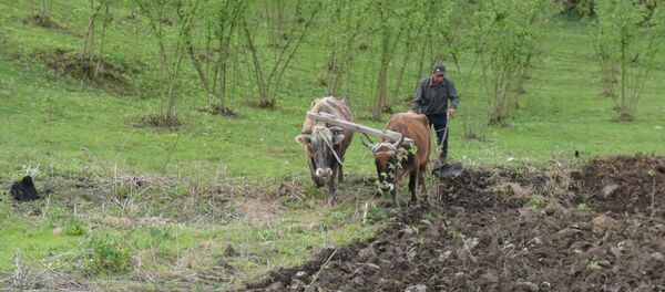 Анзор Аиба ақәаҭана ахәҭақәа дрыхцәажәоит Анзор Аиба ақәаҭана ахәҭақәа дрыхцәажәоит - Sputnik Аҧсны