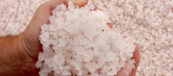 Солепромысел. Архивное фото Солепромысел. Архивное фото - Sputnik Абхазия