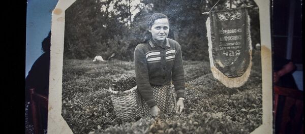 116 шықәса зхыҵуа Нуца Адлеиба-Думаа 116 шықәса зхыҵуа Нуца Адлеиба-Думаа - Sputnik Аҧсны