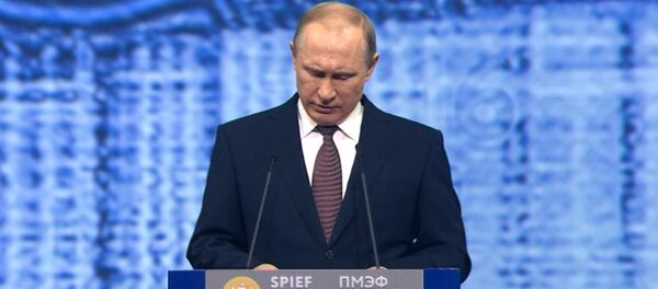Путин на ПМЭФ о глобальной экономике, отношениях с ЕС и евразийском партнерстве - Sputnik Абхазия