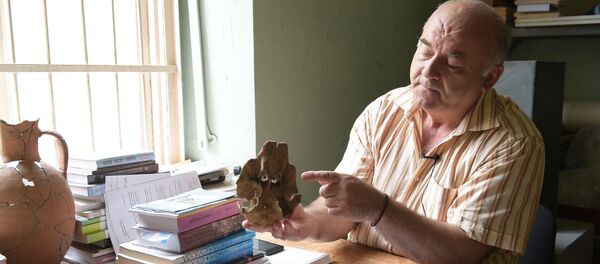 Археолог Руслан Барцыц рассказал о странной находке в колхидских болот - Sputnik Абхазия