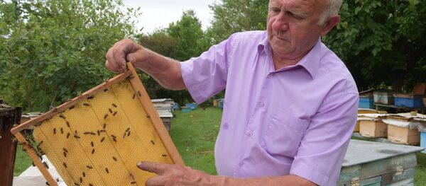 Славик Ԥимԥиа Славик Ԥимԥиа - Sputnik Аҧсны