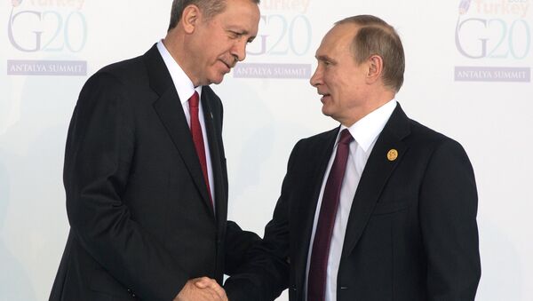 Президент РФ В.Путин принимает участие в саммите G20 в Турции - Sputnik Абхазия