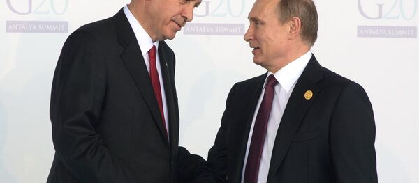 Президент РФ В.Путин принимает участие в саммите G20 в Турции - Sputnik Абхазия