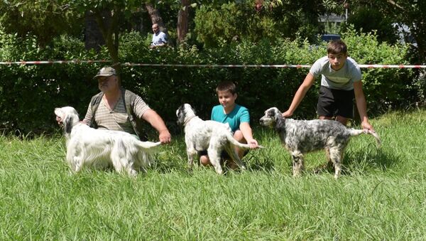 Собаководы Абхазии представили своих охотничьих собак на выставке - Sputnik Абхазия