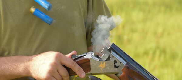 Охота на перепела - Sputnik Абхазия