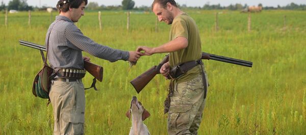 Стойка, выстрел и подноска: как охотятся на перепела в Абхазии Стойка, выстрел и подноска: как охотятся на перепела в Абхазии - Sputnik Абхазия