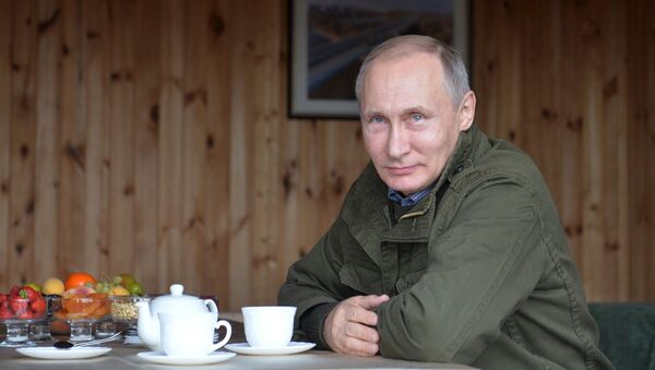 Архивное фото президента РФ Владимира Путина - Sputnik Абхазия