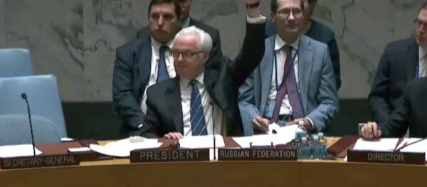 Заседание Совбеза ООН по Сирии: голосование за проекты резолюций Франции и РФ - Sputnik Абхазия