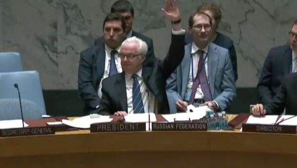 Заседание Совбеза ООН по Сирии: голосование за проекты резолюций Франции и РФ - Sputnik Абхазия