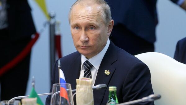 Визит президента РФ В. Путина в Республику Индию (Гоа). День второй - Sputnik Абхазия