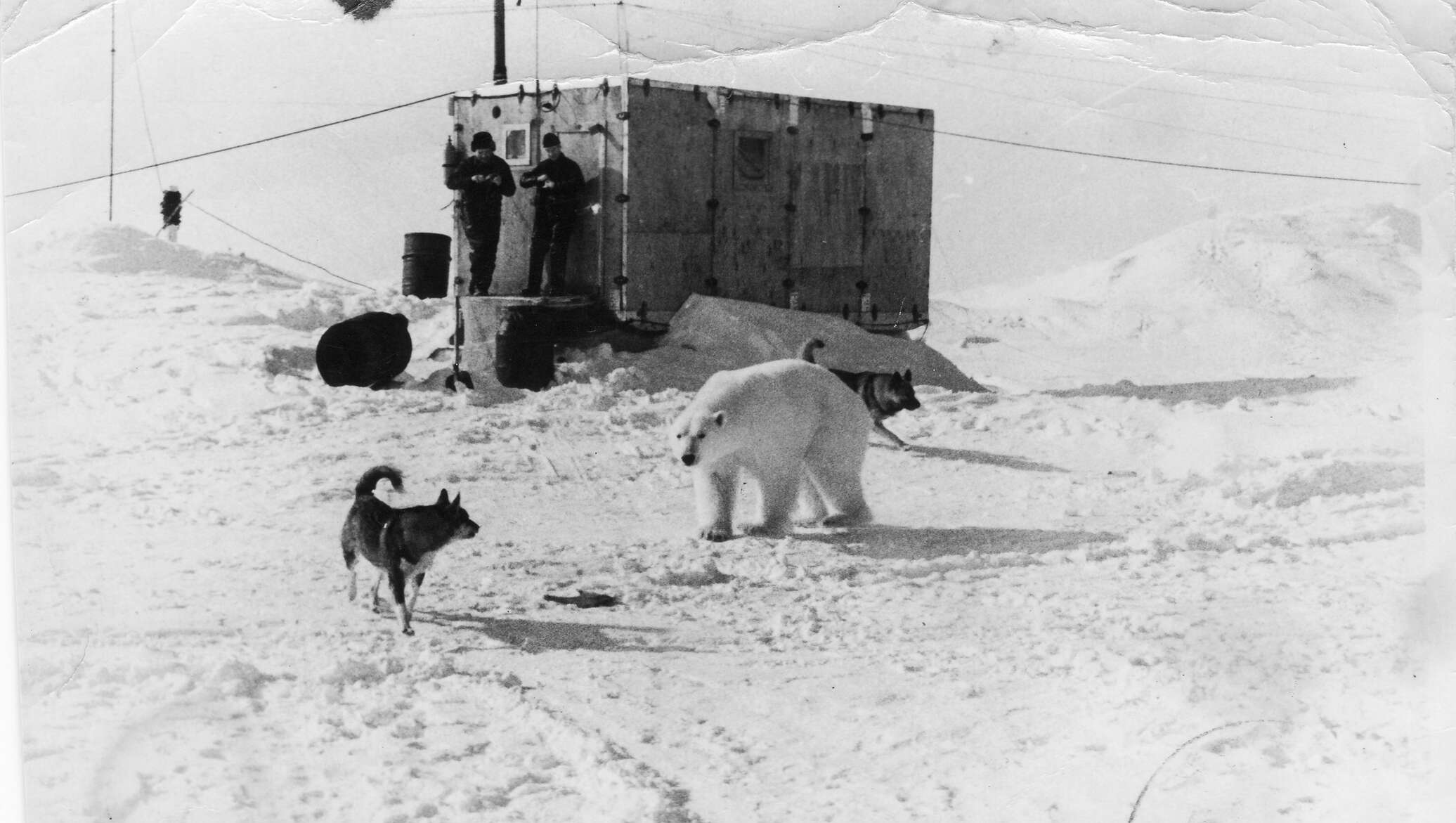 Дрейфующая Полярная станция Северный полюс 1