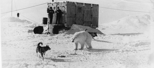 Экспедиция Северный полюс-18 в 1969 году - Sputnik Абхазия