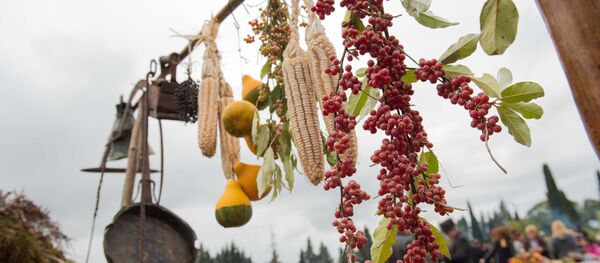 Лыхнашҭа имҩаԥысуаз аныҳәа Лыхнашҭа имҩаԥысуаз аныҳәа - Sputnik Аҧсны