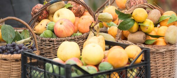 Праздник урожая на поляне Лыхнашта - Sputnik Абхазия