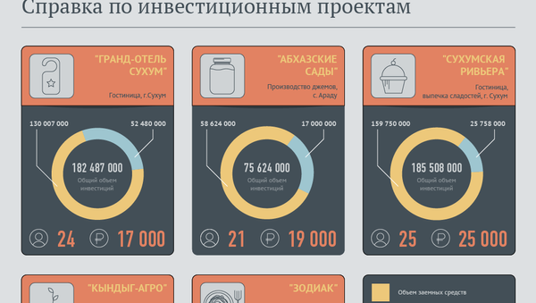 Справка по инвестиционным проектам - Sputnik Абхазия