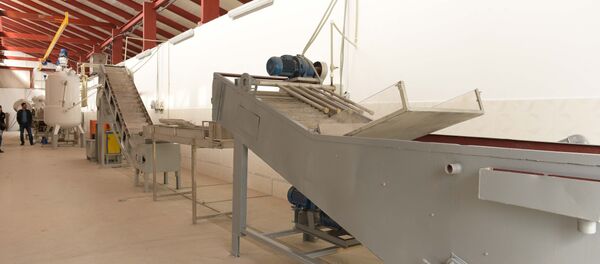 Оборудование для переработки фруктов - Sputnik Абхазия