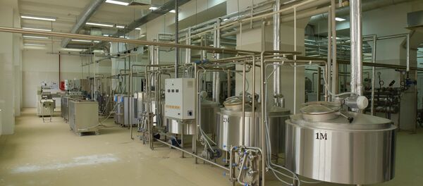 В одном из цехов сухумского молзавода В одном из цехов сухумского молзавода - Sputnik Абхазия