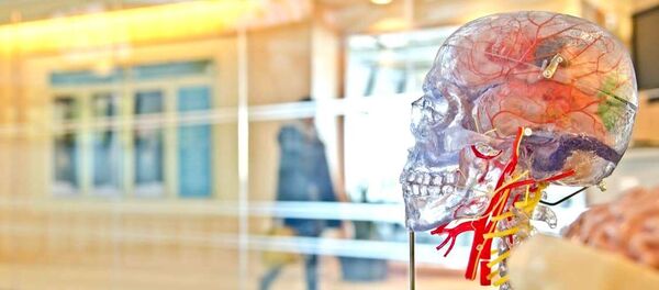 Архивное фото Архивное фото - Sputnik Абхазия