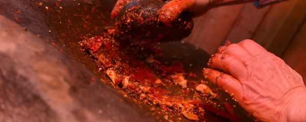 Ажәытәан аҳәса зегьы аџьыка аҳаҟьа иқәырххон Ажәытәан аҳәса зегьы аџьыка аҳаҟьа иқәырххон - Sputnik Аҧсны