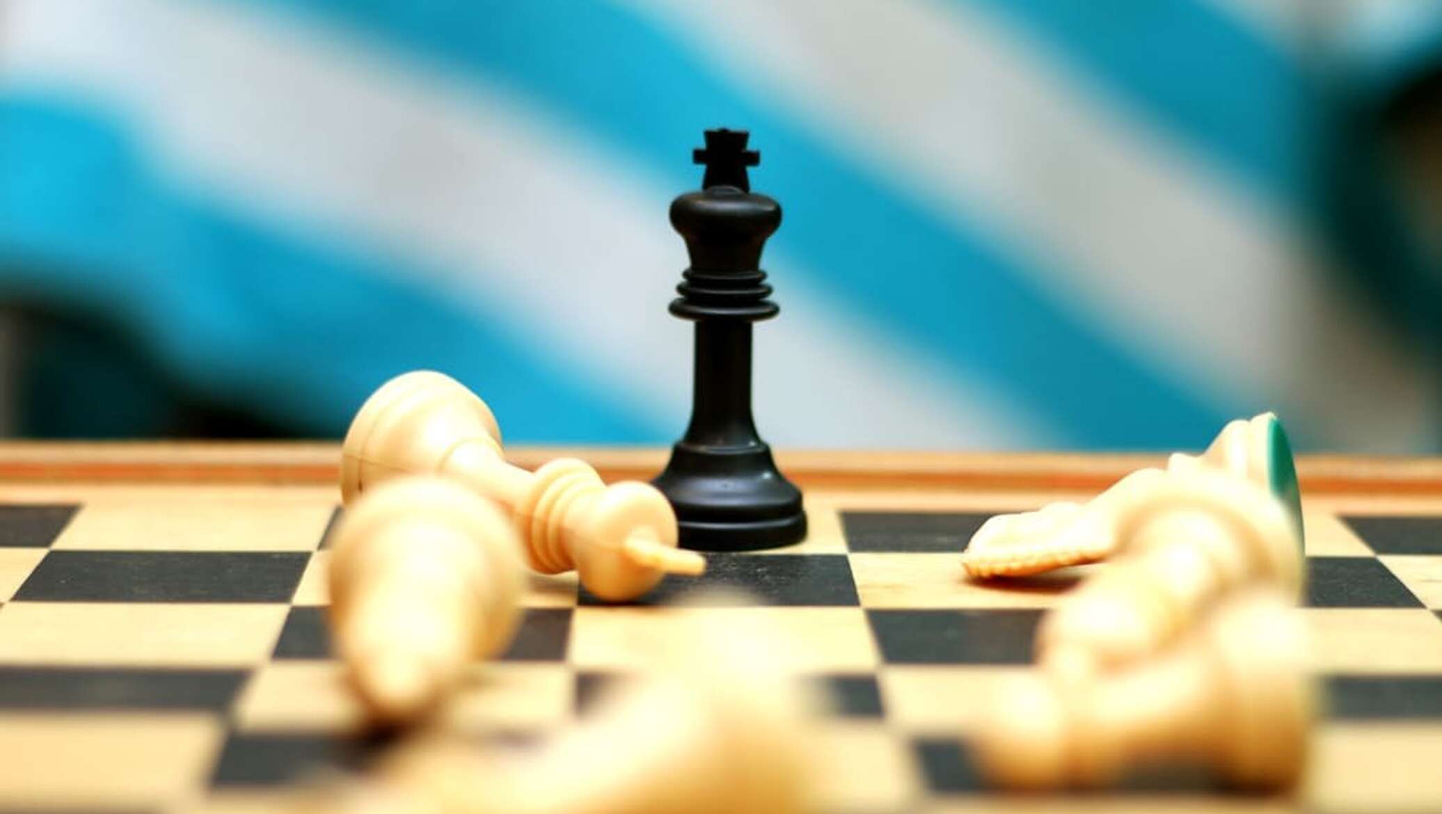 Шахматы обвинили в расизме