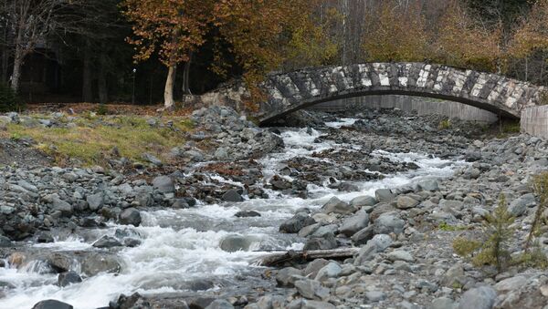 Мост через горную реку - Sputnik Абхазия