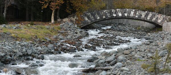 Мост через горную реку Мост через горную реку - Sputnik Абхазия