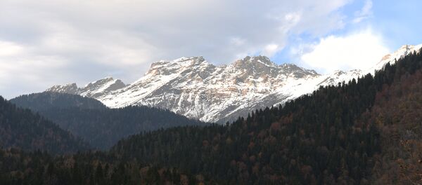 Зима  в Абхазии - Sputnik Абхазия