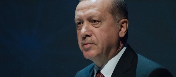 Визит президента РФ В. Путина в Турцию Визит президента РФ В. Путина в Турцию - Sputnik Абхазия