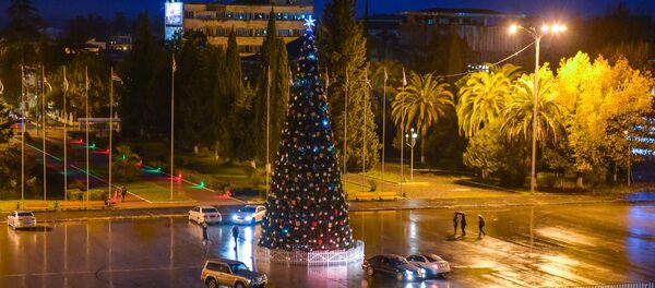 Сооружение главной елки страны. - Sputnik Абхазия