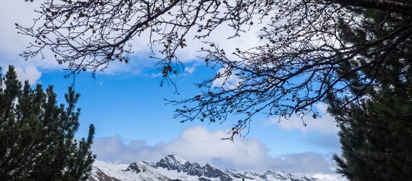 Горы в Швейцарии - Sputnik Абхазия