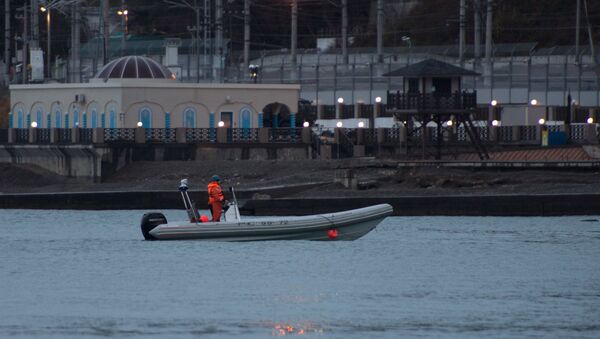 Продолжаются поиски тел погибших в авиакатастрофе Ту-154 в Сочи - Sputnik Абхазия