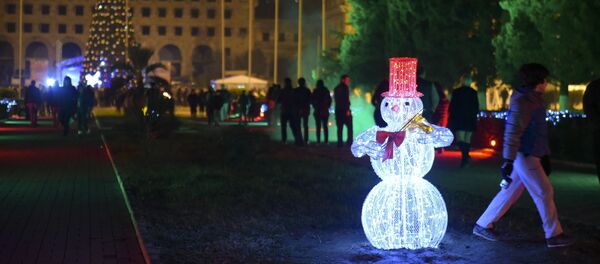 Новогодние гулянья у главной елки страны Новогодние гулянья у главной елки страны - Sputnik Абхазия