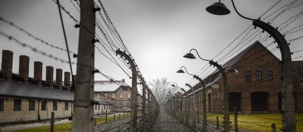 Концентрационный лагерь Аушвиц-Биркенау в Освенциме, на территории которого в 1947 году был создан музей. Концентрационный лагерь Аушвиц-Биркенау в Освенциме, на территории которого в 1947 году был создан музей. - Sputnik Аҧсны