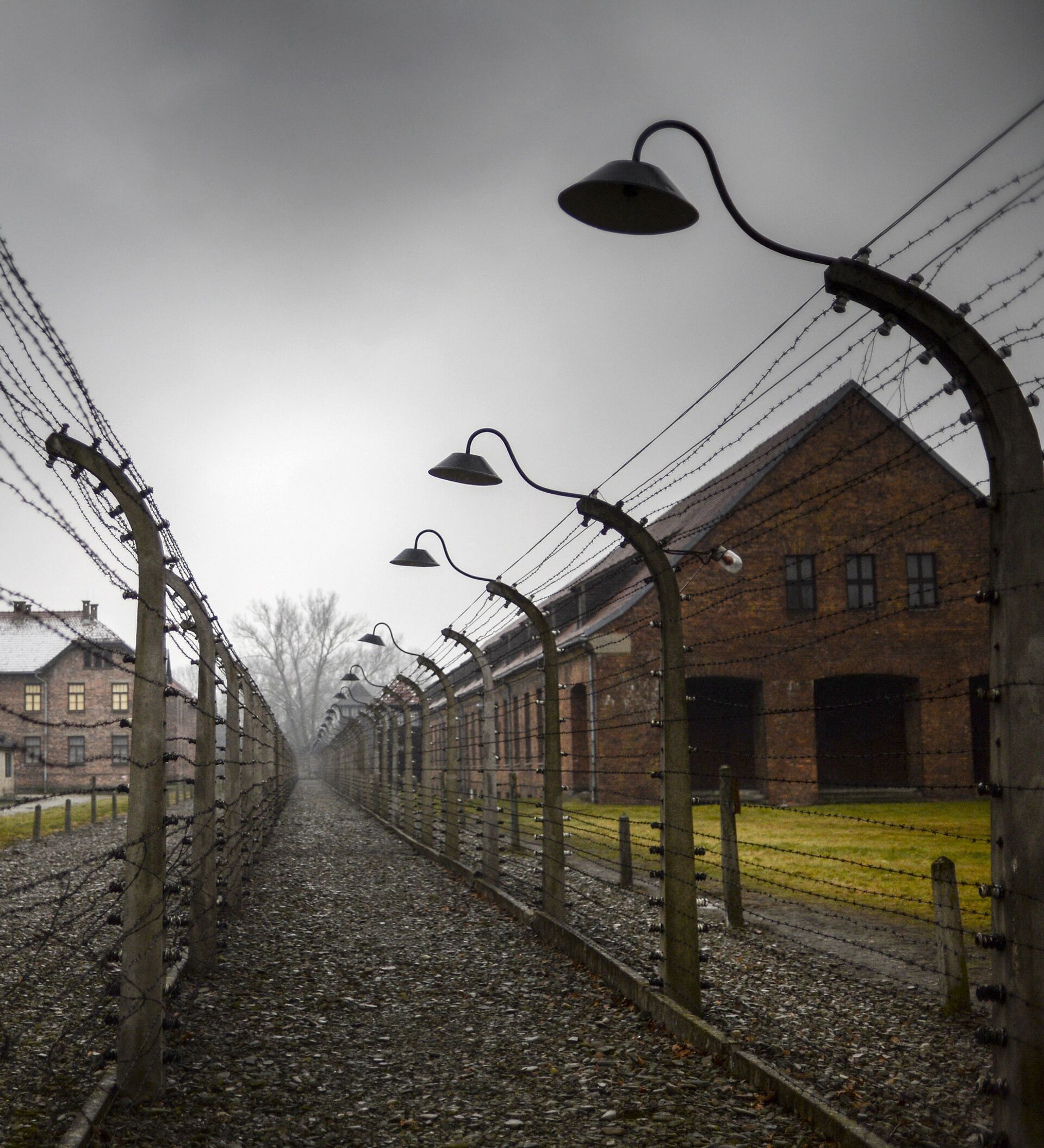 Преступление против жизни: память и уроки Холокоста