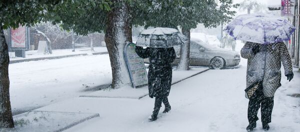 Ҳаџьымба асы арыцқьара дырццакырц адҵа ҟаиҵеит Ҳаџьымба асы арыцқьара дырццакырц адҵа ҟаиҵеит - Sputnik Аҧсны