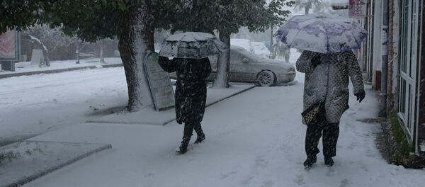 Зима в Абхазии Зима в Абхазии - Sputnik Абхазия