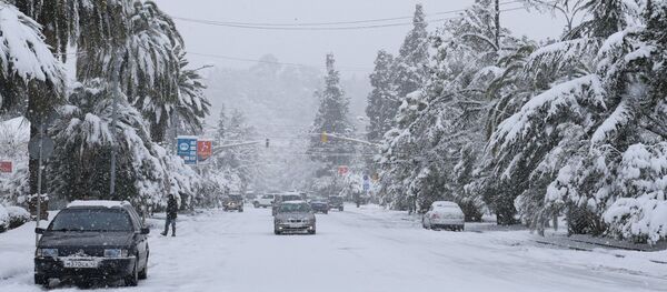 Зима в Абхазии Зима в Абхазии - Sputnik Абхазия