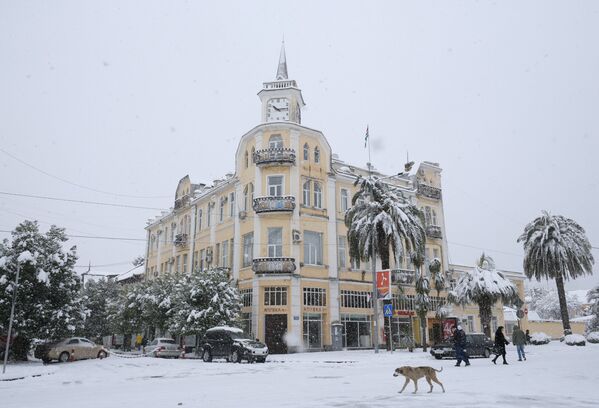 Зима в Абхазии Зима в Абхазии - Sputnik Абхазия
