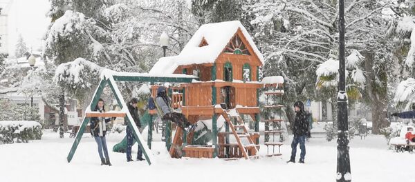 Белый Сухум: под снегом машины, пальмы, дети Белый Сухум: под снегом машины, пальмы, дети - Sputnik Абхазия