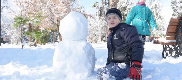 Прелесть долгожданная, но деревья погибают: сухумчане о снегопаде Прелесть долгожданная, но деревья погибают: сухумчане о снегопаде - Sputnik Абхазия