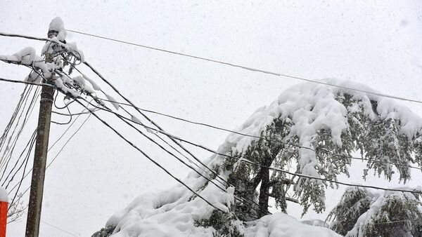 Провода в снегу - Sputnik Абхазия