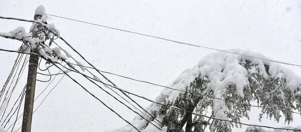 Провода в снегу - Sputnik Абхазия
